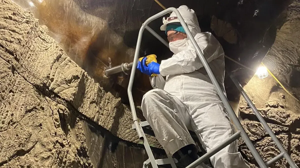 «Зовсім не мертві зразки»: на Алясці ожили мікроби віком 40 тисяч років