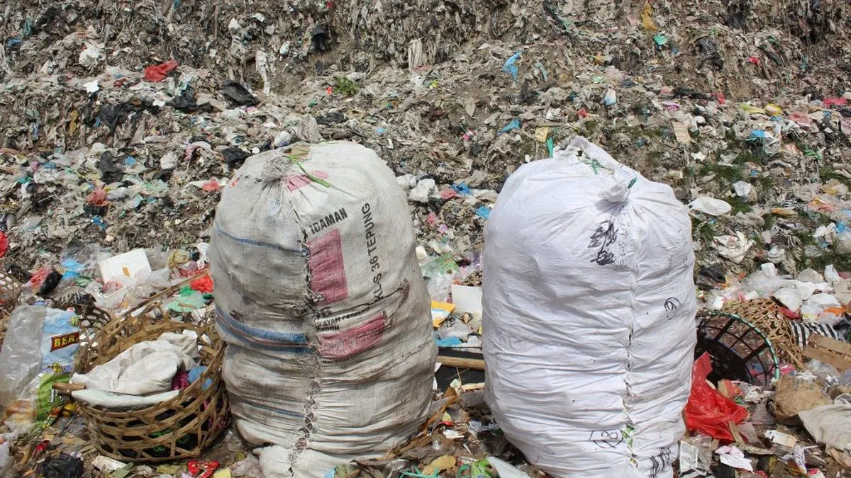 Пластик, що розкладається: революційна технологія допоможе очистити планету