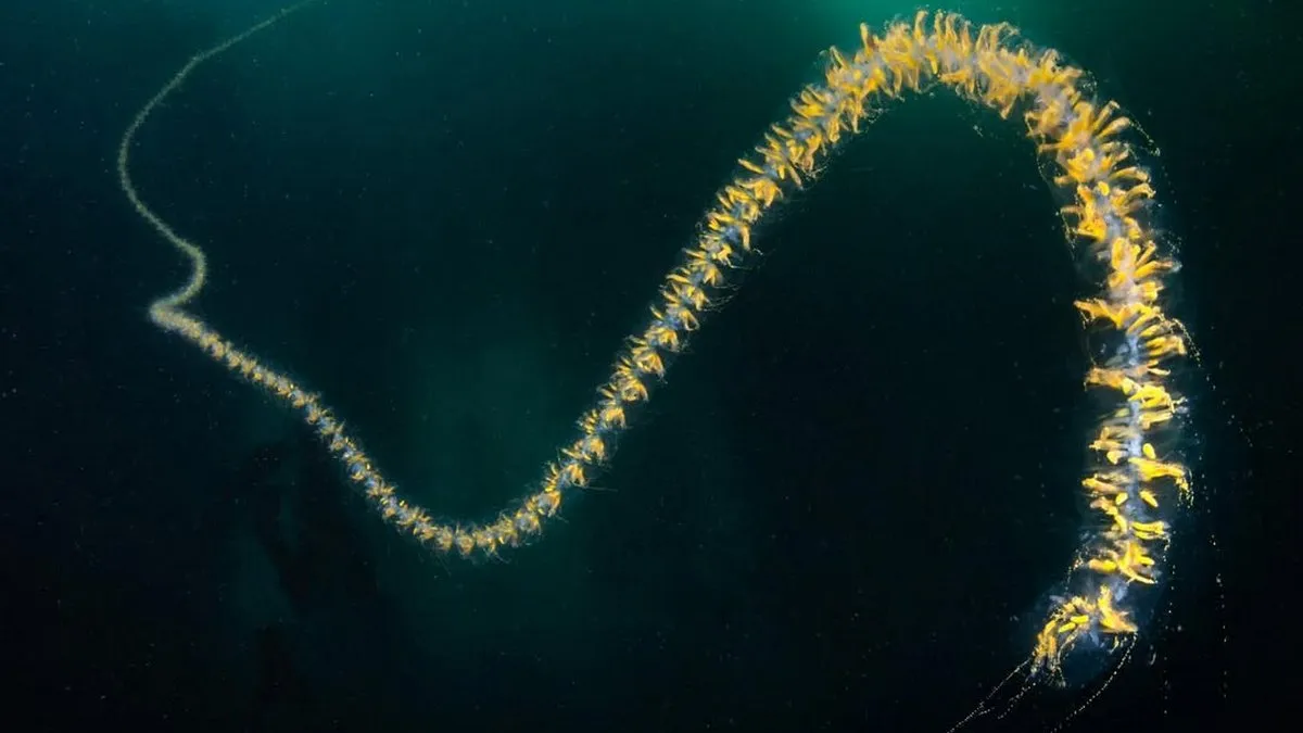 Хижак довжиною у 40 метрів: вчені розповіли про небезпечне створіння з двометровими щупальцями