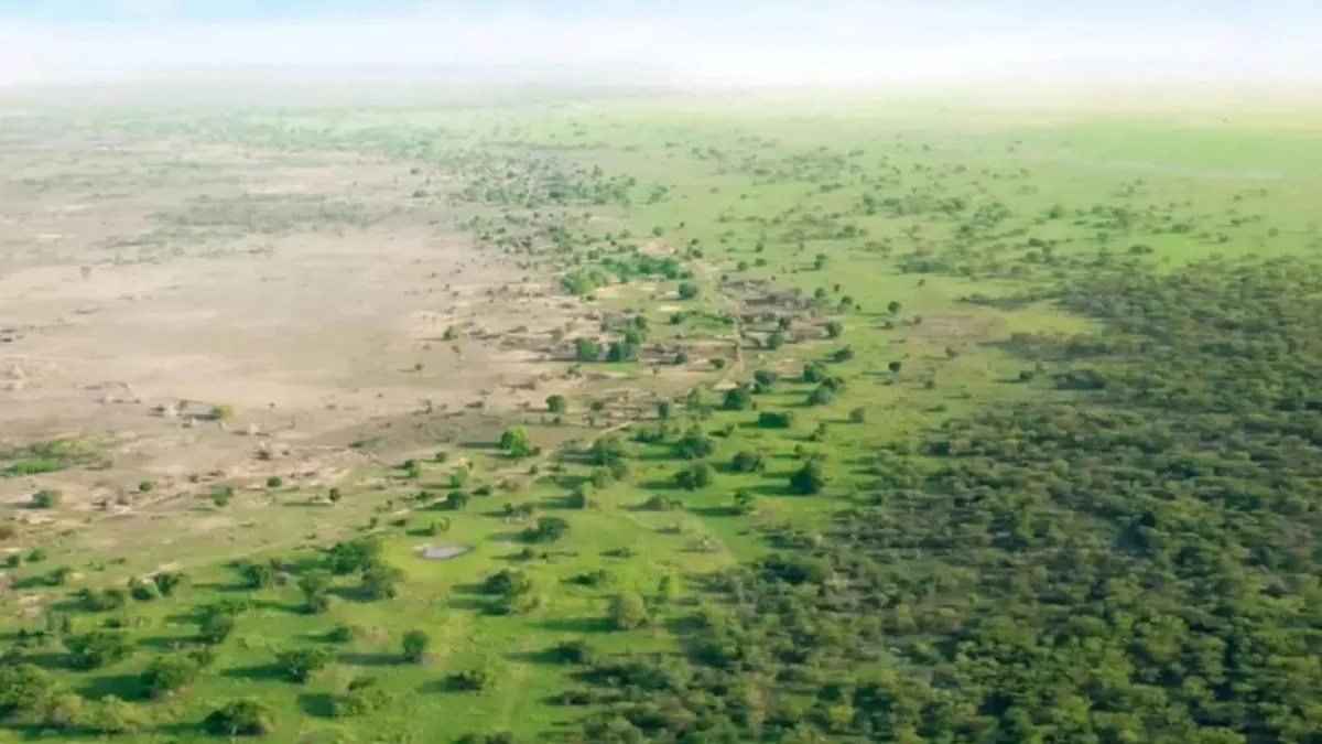 Китай озеленив свою найбільшу пустелю Такла-Макан розміром з Польщу: результат вразив навіть учених