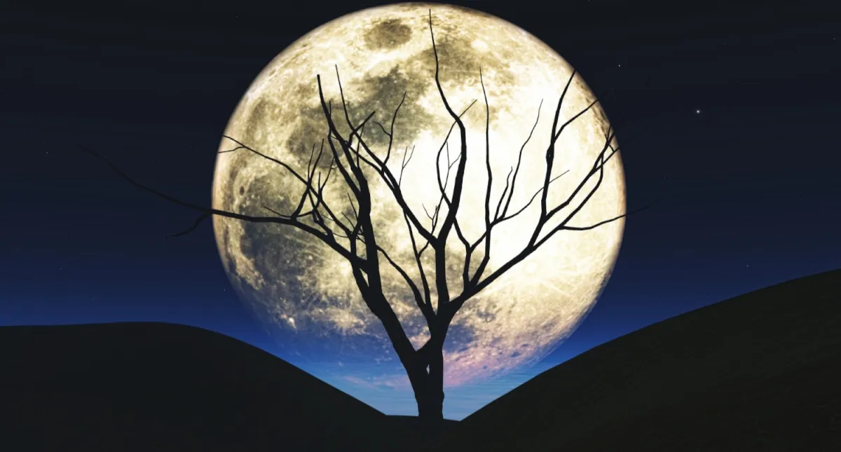 Холодний Місяць наближається: коли українці побачать останню суперповню 2025 року