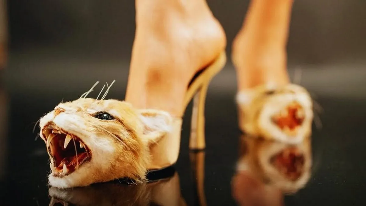 Новий хіт осені-2026 на Паризькому тижні моди: Schiaparelli випустив взуття з імітацією голів котів