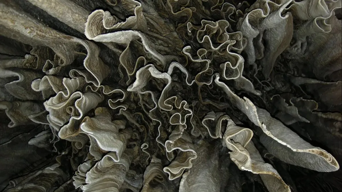 NASA зацікавилася пустелею Чіуауа: у гігантських печерах шукають інопланетне життя