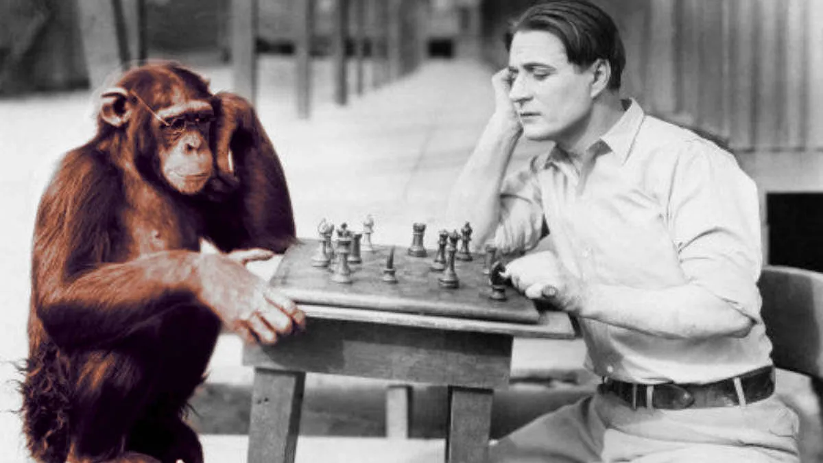 Різниця між шимпанзе та людиною значно менше, ніж думали: вчені зробили нове відкриття