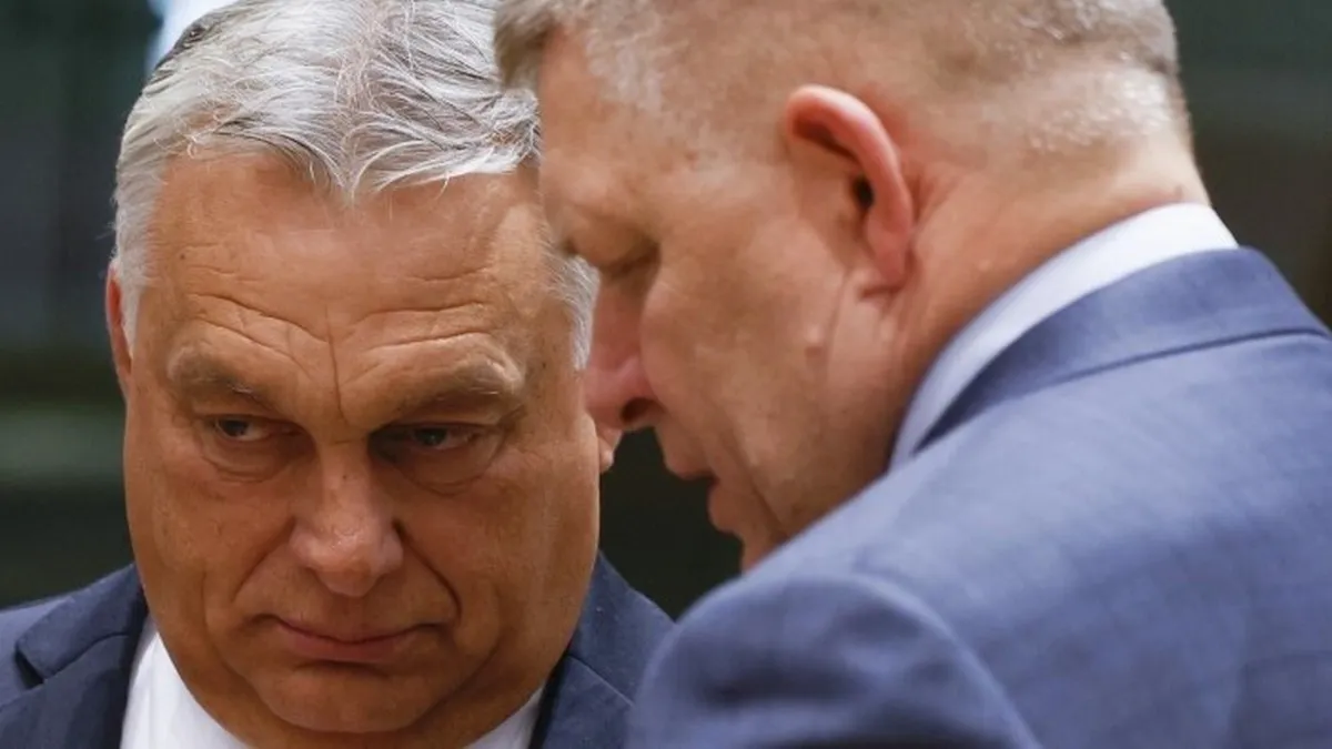 Представників двох країн Євросоюзу не запросили на зустріч щодо «Стіни дронів»: відома причина