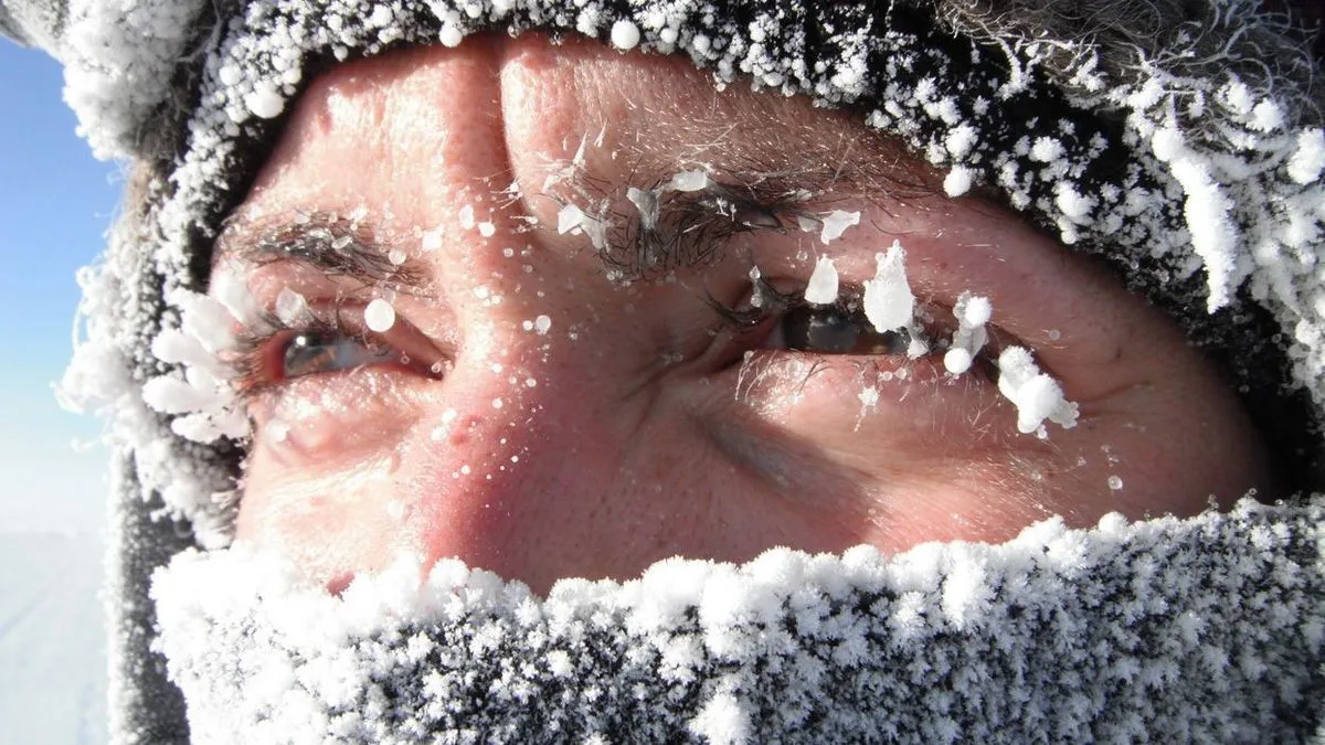 Полярний вихор слабшає: чи справді Європу накриє найхолодніша зима за останні роки