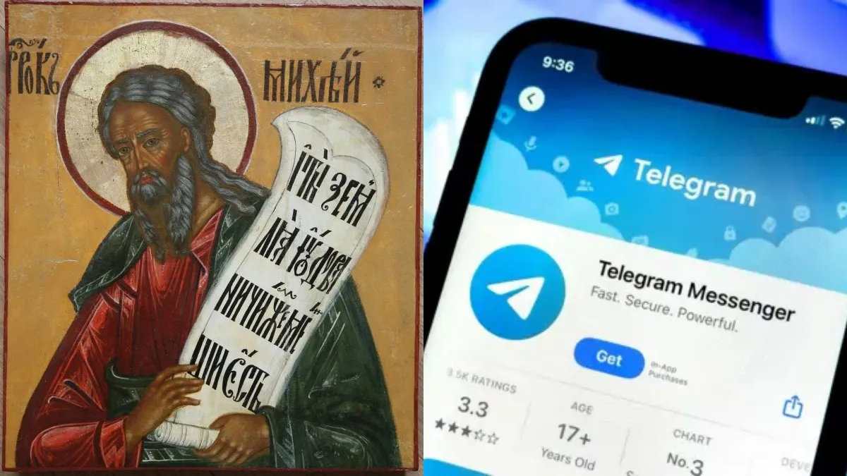 Від Дня косатки до народження Telegram: які свята відзначають 14 серпня в Україні та світі