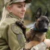 Фронт і тварини: чому великі собаки частіше гинуть, ніж малі