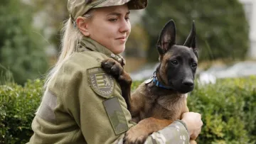 Фронт і тварини: чому великі собаки частіше гинуть, ніж малі