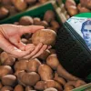 Овочі подешевшають, але не всі: економіст розповів про нові ціни на продукти