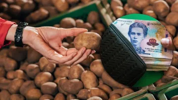 Овочі подешевшають, але не всі: економіст розповів про нові ціни на продукти