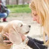 У Китаї представили ШІ-перекладач для котів і собак: розробники заявляють про точність до 95%