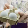 Як правильно зберігати яйця в холодильку: поради відомої кулінарки