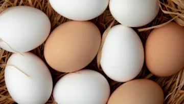 Білі чи коричневі: які яйця насправді корисніші та чим вони відрізняються