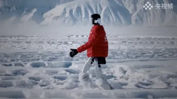 Китайський робот Unitree G1 пройшов більше сотні тисяч кроків за температури -47,4°C: деталі рекорду