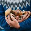 Які гриби збирати у жовтні та де шукати білі, опеньки та лисички: календар грибника на осінь 2026