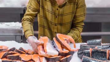 Не акула і не тунець: кого вчені офіційно назвали «королем» серед усіх риб