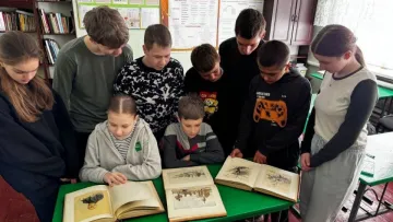 У Раді пропонують гарантувати учням можливість завершити навчання у своїй школі: з чим це пов'язано 