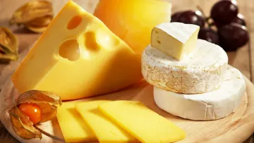 Сир, який захищає мозок: японські вчені виявили спосіб знизити ризик деменції