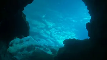 Вчені виявили нову істоту на глибині 6200 метрів під водою: змогла адаптуватися в умовах на глибині понад 6 км