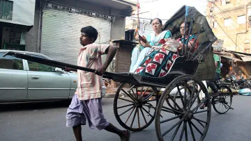 «Рікши в Індії не платять податки»: експерт прокоментував урядові ініціативи щодо податків на OLX та посилки