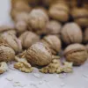 Максимальна користь для мозку та серця: вчені назвали ідеальний час доби для вживання волоських горіхів