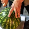 Втричі дешевше, ніж на початку місяця: що відбувається з цінами на кавуни в супермаркетах