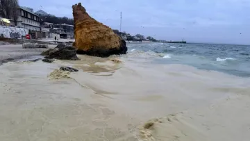 На узбережжі Одеси виявили ймовірне нафтове забруднення та загиблих птахів: місцева влада повідомила деталі