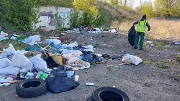 «Усім - фіолетово»: киянка покликала людей на весняну толоку – прийшли лише дві місцеві мешканки 