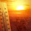 Життя на Землі до 2100 року: вчені прогнозують пекельні пожежі та лабораторне м’ясо