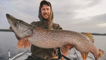 Ловля щуки в Україні може коштувати тисячі гривень: коли закінчиться заборона на вилов хижачки