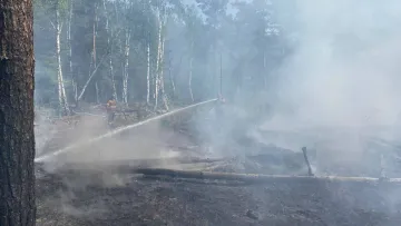 Російські дрони спричинили пожежу у Чорнобильській зоні: подробиці складної ситуації