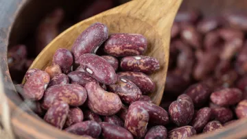 Заміна м'ясу та контроль ваги: чому дієтологи радять їсти консервовану квасолю