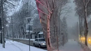 Львів замело снігом у листопаді: відео справжньої зимової казки на заході України