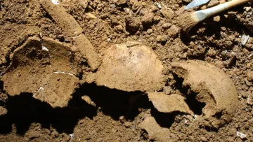 В Африці знайшли «технологію вбивства» віком 60 000 років: що відкопали археологи