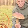 «Мій рекордний білий»: колишній віцепремʼєр-міністр України похвалився велетенським грибом 
