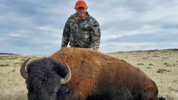 Трагедія на сафарі: в Африці стадо слонів затоптало на смерть американського мільйонера