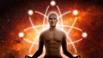 Вчені наблизилися до відкриття безсмертя: як в цьому допомогли результати дослідження мишей