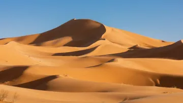 У Африці було більше дощів та вологи: вчені довели, що пустеля Сахара була придатною для життя