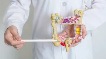 Вже еволюціонував 32 рази: чому апендикс не є зайвим органом і які функції він виконує