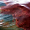 Масштабне забруднення у Азовському морі: влада ввела режим локальної надзвичайної ситуації