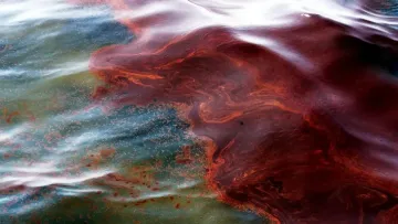 Масштабне забруднення у Азовському морі: влада ввела режим локальної надзвичайної ситуації