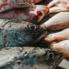 Обережно з річковою рибою: українцям назвали ознаку, яка може свідчити про небезпечну хворобу