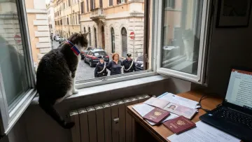 Кішка здала шпигунку: в Італії викрили російську агентку, яка 10 років жила під чужим ім’ям