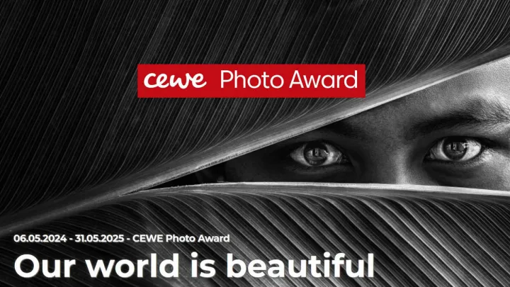 Оголошено переможців CEWE Photo Award 2025: українська фотографія отримала міжнародне визнання