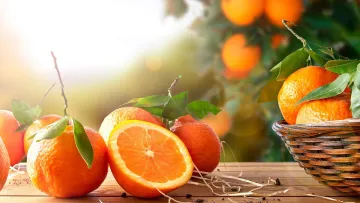 Цитрусовий апокаліпсис: чому апельсини невдовзі можуть стати дефіцитним делікатесом
