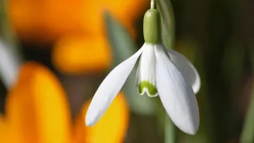 Чи варто українцям очікувати вихідного 9 березня: посадовці пояснили, що змінилося