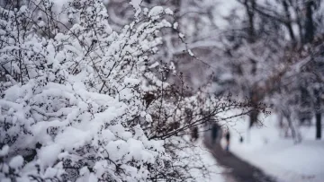 Яка погода завтра, 9 січня: в яких регіонах України синоптики прогнозують сніг та дощ