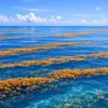 Жодного берега та порту: вчені показали єдине у світі море без суші