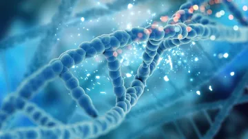 Залежність тривалості життя від генетики: відомі результати дослідження вчених